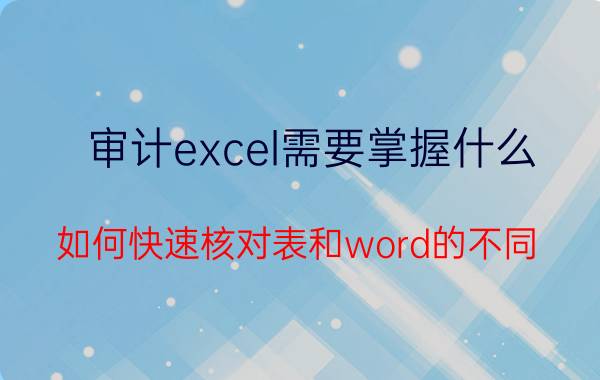 审计excel需要掌握什么 如何快速核对表和word的不同？